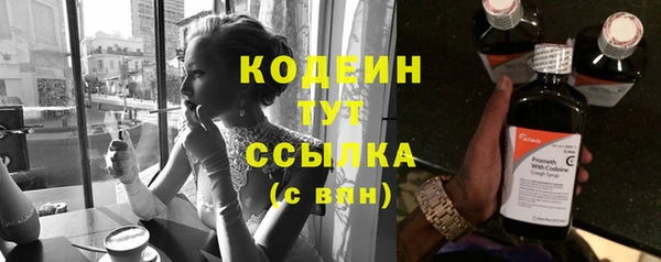 ГАЛЛЮЦИНОГЕННЫЕ ГРИБЫ Пересвет