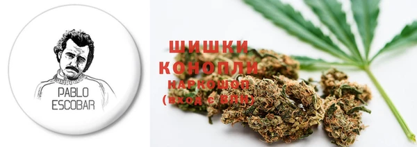 сатива Абаза