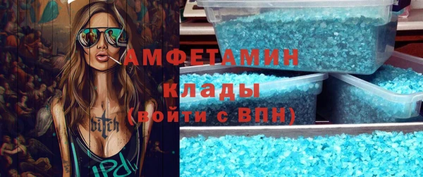 гашик Пестово
