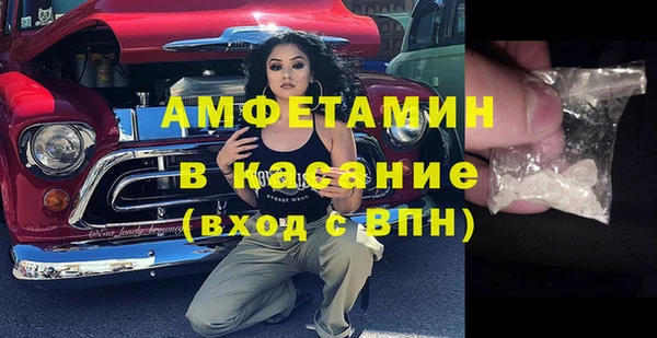 сатива Абаза