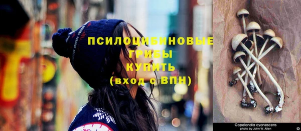 ECSTASY Покров