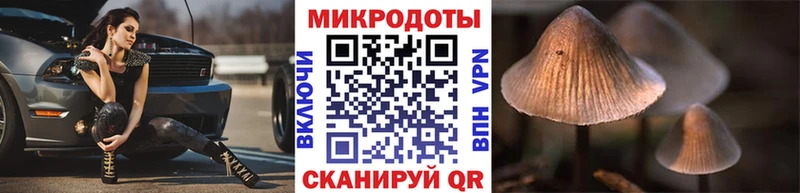 Псилоцибиновые грибы GOLDEN TEACHER  Красновишерск 
